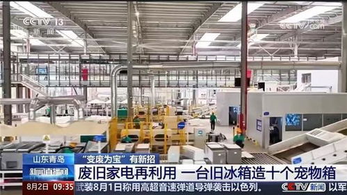 央視聚焦循環經濟新篇章 海爾再循環樹立廢舊家電回收行業標桿