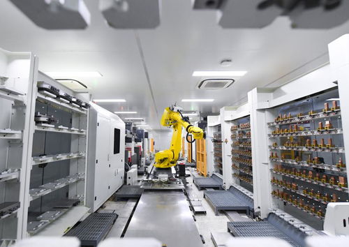 金融活水澆灌科技創新沃土 社會經濟咨詢服務的賦能之道