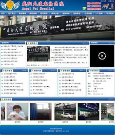 咸陽天使寵物醫(yī)院攜手萬企互聯(lián) 專業(yè)數(shù)字營銷與動漫設計賦能品牌新生態(tài)